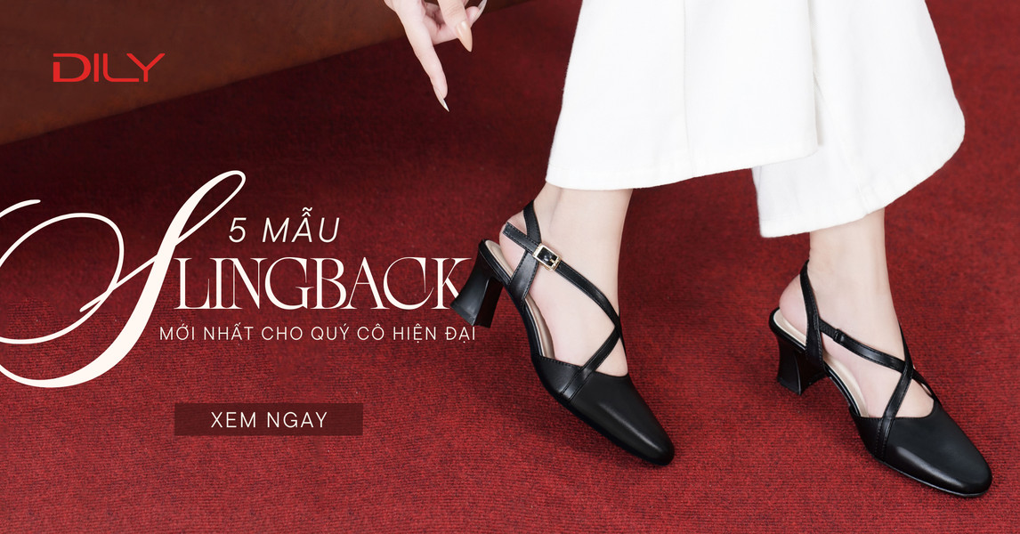 Khám phá 5 mẫu giày slingback DILY mới nhất cho quý cô hiện đại