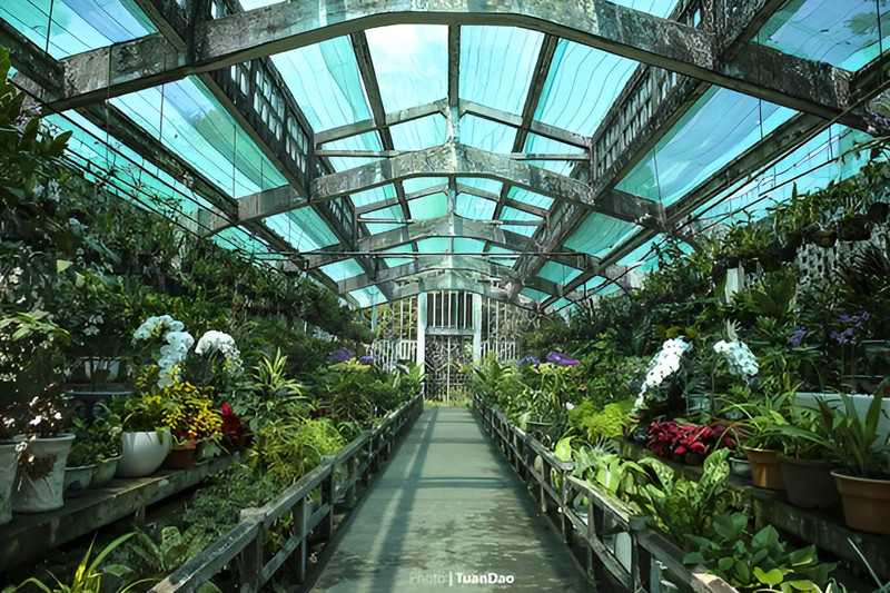 Địa điểm vui chơi ở Sài Gòn nghỉ lễ 30/4 cho team “du lịch tại chỗ”