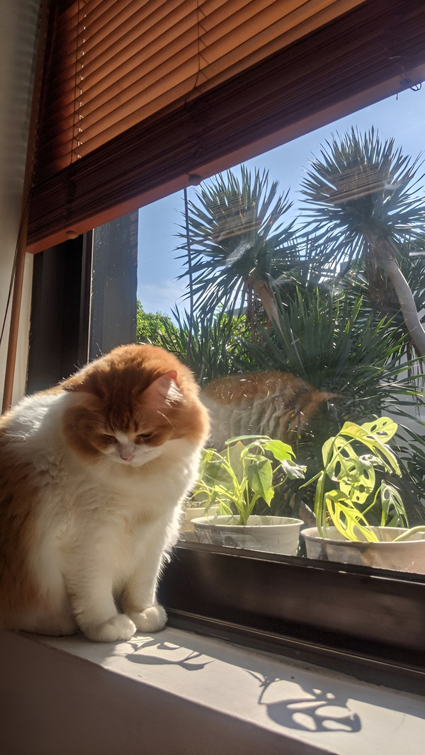 Refresh không gian sống của bản thân cùng xu hướng sống xanh