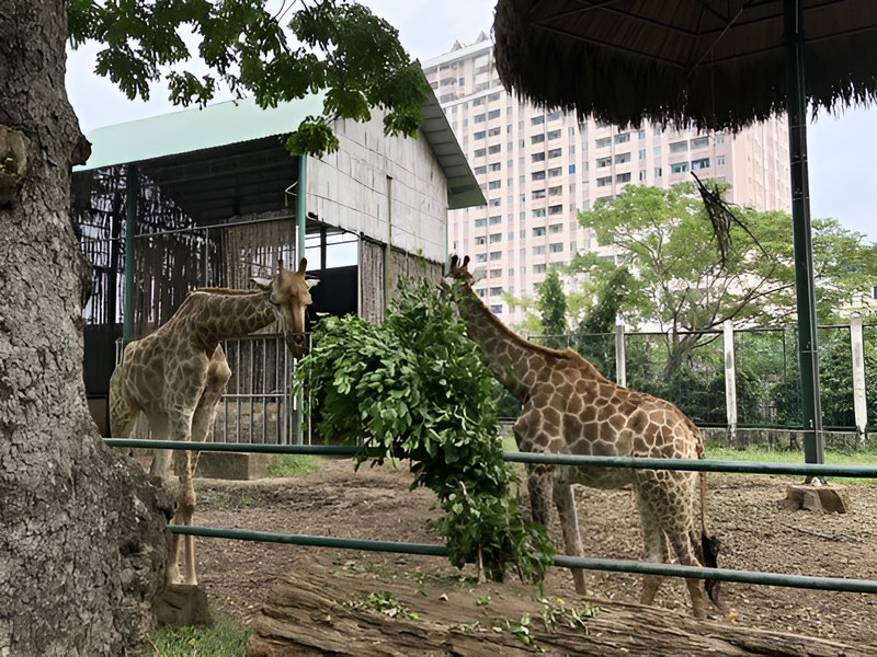 Địa điểm vui chơi ở Sài Gòn nghỉ lễ 30/4 cho team “du lịch tại chỗ”