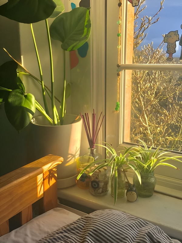 Refresh không gian sống của bản thân cùng xu hướng sống xanh