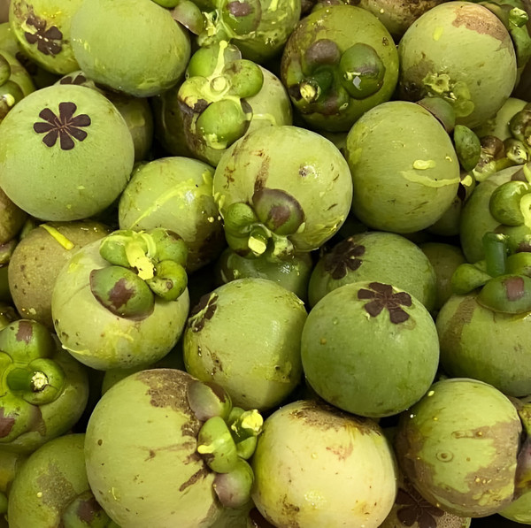 Cách làm gỏi gà măng cụt siêu ngon, món ăn khuấy đảo mùa hè