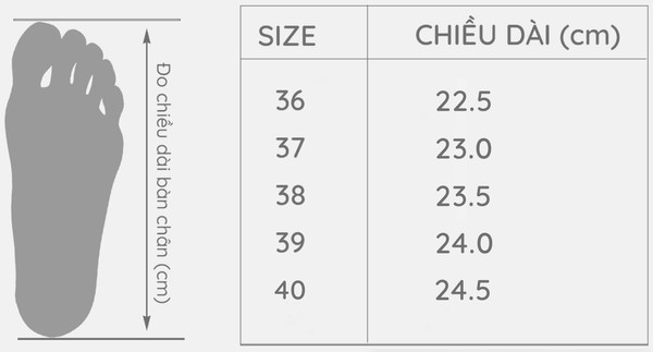 Bảng Chọn Size Giày thể thao AG0049