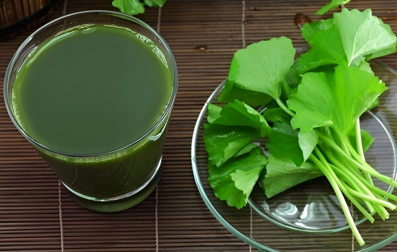 Detox cơ thể hiệu quả bằng nước uống giải nhiệt mùa hè