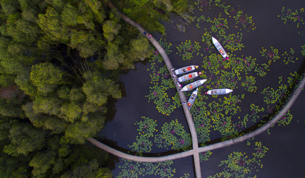 Top 7 địa điểm cắm trại cực CHILL gần Sài Gòn không thể bỏ qua