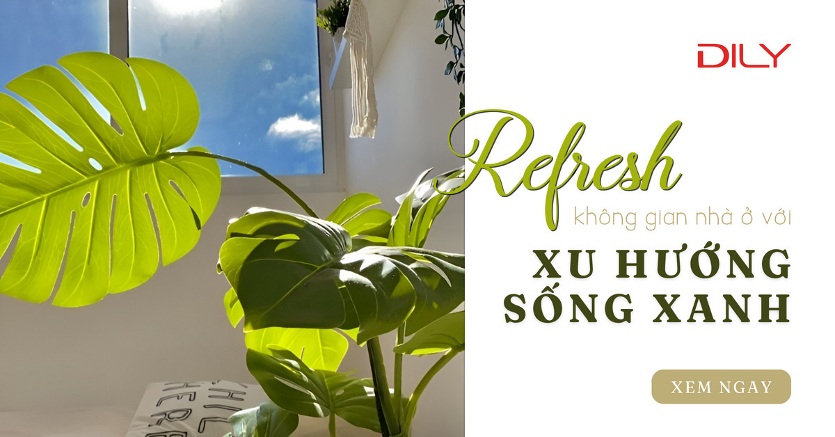 Refresh không gian sống của bản thân cùng xu hướng sống xanh