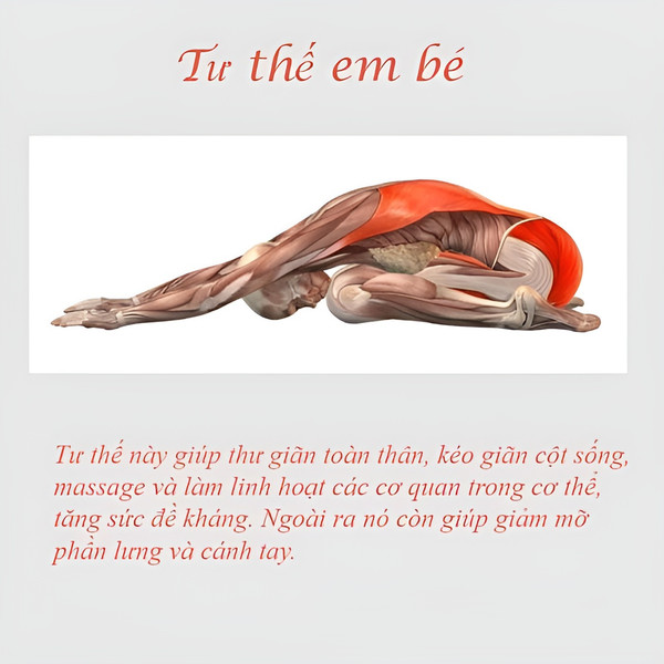 5 bài tập yoga cho người mới bắt đầu, kiến thức nhập môn cần biết
