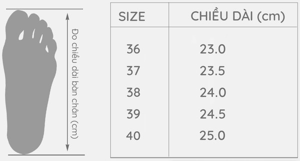 Bảng Chọn Size Giày thể thao AG0050