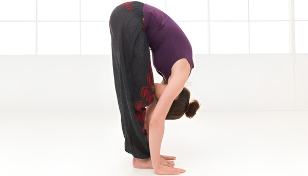 5 bài tập yoga cho người mới bắt đầu, kiến thức nhập môn cần biết