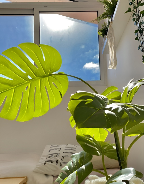 Refresh không gian sống của bản thân cùng xu hướng sống xanh