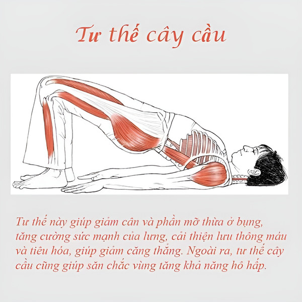 5 bài tập yoga cho người mới bắt đầu, kiến thức nhập môn cần biết